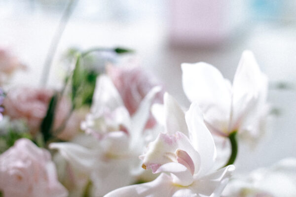 JES_0879 JES_0879